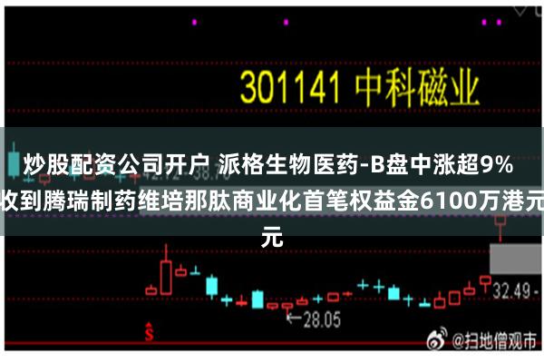 炒股配资公司开户 派格生物医药-B盘中涨超9% 收到腾瑞制药维培那肽商业化首笔权益金6100万港元