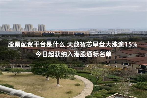股票配资平台是什么 天数智芯早盘大涨逾15% 今日起获纳入港股通标名单