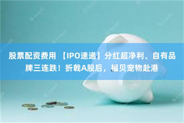 股票配资费用 【IPO速递】分红超净利、自有品牌三连跌！折戟A股后，福贝宠物赴港