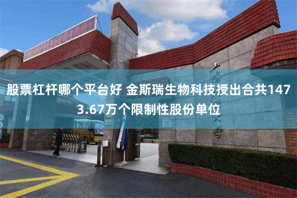 股票杠杆哪个平台好 金斯瑞生物科技授出合共1473.67万个限制性股份单位