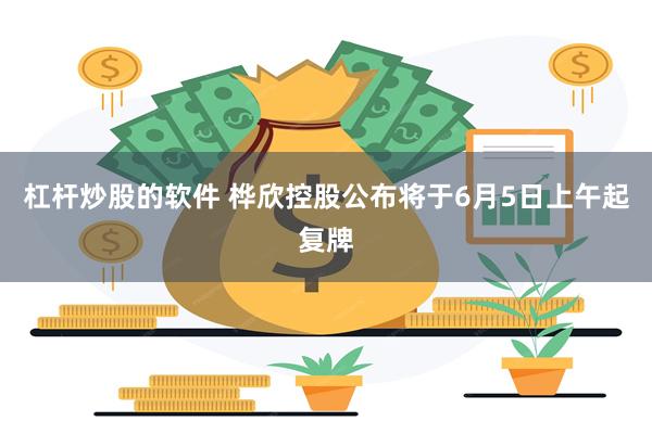 杠杆炒股的软件 桦欣控股公布将于6月5日上午起复牌