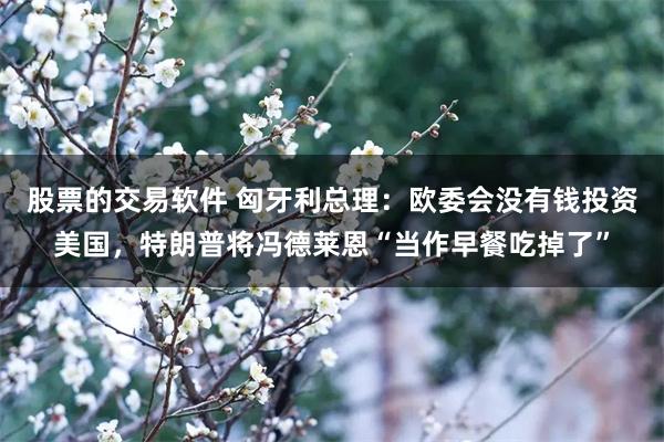 股票的交易软件 匈牙利总理：欧委会没有钱投资美国，特朗普将冯德莱恩“当作早餐吃掉了”