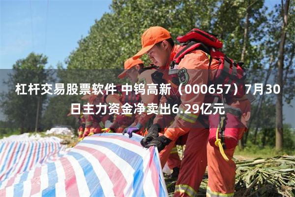 杠杆交易股票软件 中钨高新(000657)7月30日主力资金净卖出6.29亿元