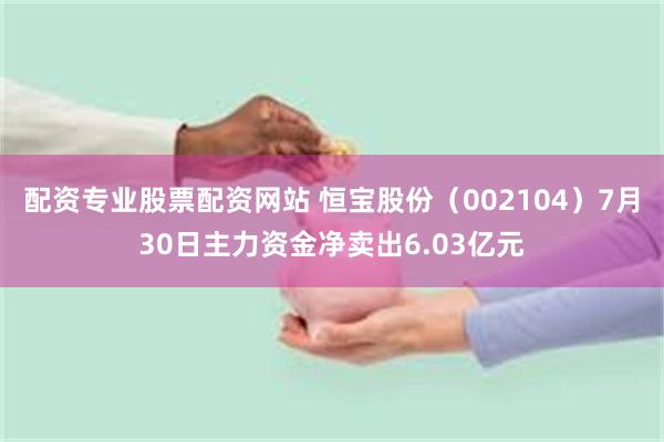 配资专业股票配资网站 恒宝股份（002104）7月30日主力资金净卖出6.03亿元