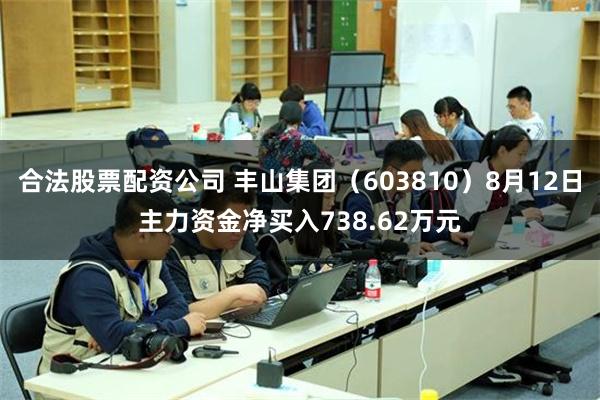 合法股票配资公司 丰山集团（603810）8月12日主力资金净买入738.62万元