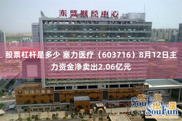 股票杠杆是多少 塞力医疗（603716）8月12日主力资金净卖出2.06亿元