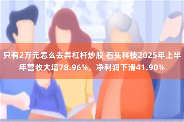 只有2万元怎么去弄杠杆炒股 石头科技2025年上半年营收大增78.96%,净利润下滑41.90%