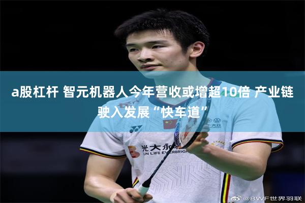 a股杠杆 智元机器人今年营收或增超10倍 产业链驶入发展“快车道”