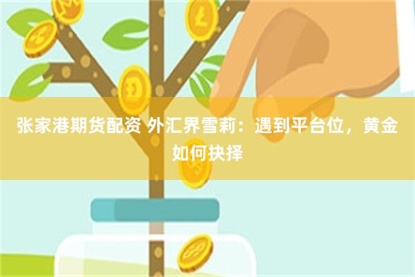 张家港期货配资 外汇界雪莉：遇到平台位，黄金如何抉择