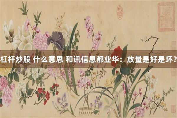 杠杆炒股 什么意思 和讯信息都业华：放量是好是坏？