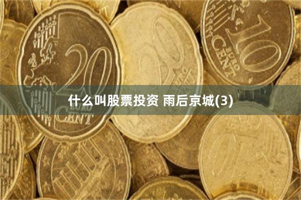 什么叫股票投资 雨后京城(3)