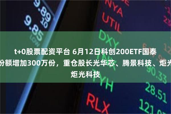 t+0股票配资平台 6月12日科创200ETF国泰基金份额增加300万份,重仓股长光华芯、腾景科技、炬光科技