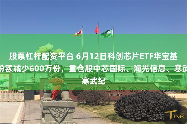 股票杠杆配资平台 6月12日科创芯片ETF华宝基金份额减少600万份,重仓股中芯国际、海光信息、寒武纪