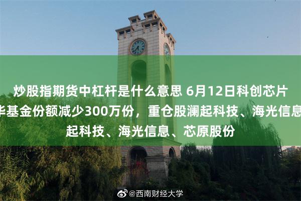 炒股指期货中杠杆是什么意思 6月12日科创芯片设计ETF鹏华基金份额减少300万份,重仓股澜起科技、海光信息、芯原股份