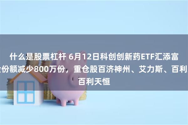 什么是股票杠杆 6月12日科创创新药ETF汇添富基金份额减少800万份，重仓股百济神州、艾力斯、百利天恒