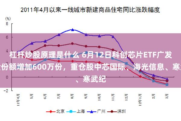 杠杆炒股原理是什么 6月12日科创芯片ETF广发基金份额增加600万份,重仓股中芯国际、海光信息、寒武纪