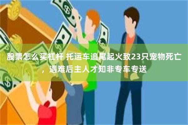 股票怎么买杠杆 托运车追尾起火致23只宠物死亡，遇难后主人才知非专车专送