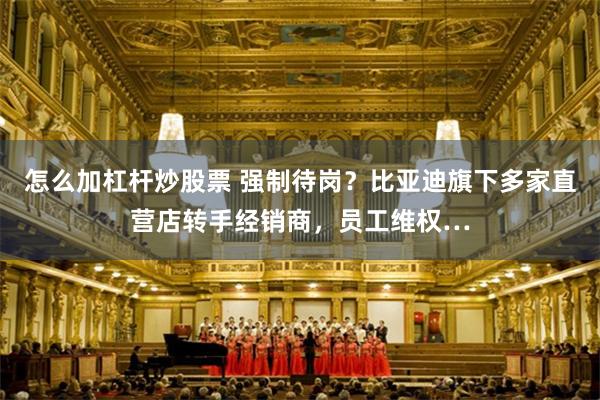 怎么加杠杆炒股票 强制待岗？比亚迪旗下多家直营店转手经销商，员工维权…