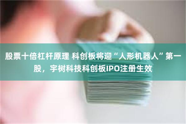 股票十倍杠杆原理 科创板将迎“人形机器人”第一股，宇树科技科创板IPO注册生效