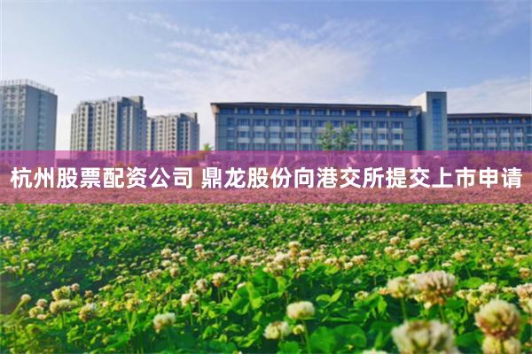 杭州股票配资公司 鼎龙股份向港交所提交上市申请