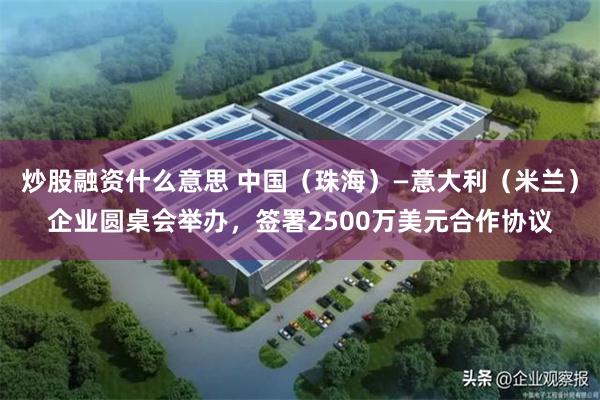 炒股融资什么意思 中国(珠海)—意大利(米兰)企业圆桌会举办,签署2500万美元合作协议