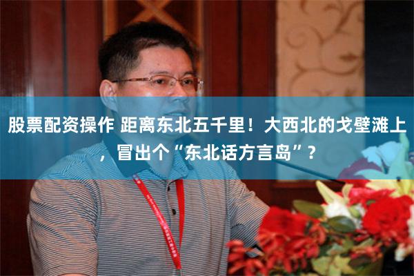 股票配资操作 距离东北五千里！大西北的戈壁滩上，冒出个“东北话方言岛”？