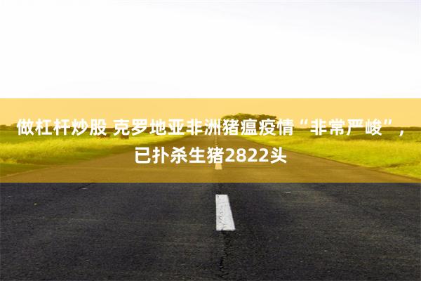 做杠杆炒股 克罗地亚非洲猪瘟疫情“非常严峻”，已扑杀生猪2822头