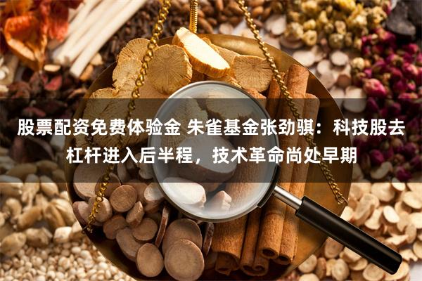 股票配资免费体验金 朱雀基金张劲骐：科技股去杠杆进入后半程，技术革命尚处早期