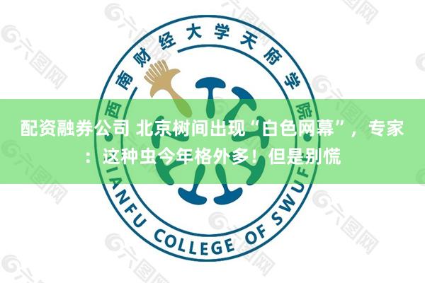 配资融券公司 北京树间出现“白色网幕”，专家：这种虫今年格外多！但是别慌
