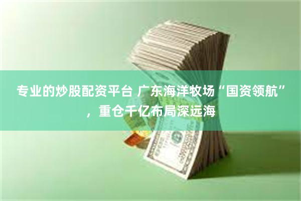 专业的炒股配资平台 广东海洋牧场“国资领航”，重仓千亿布局深远海