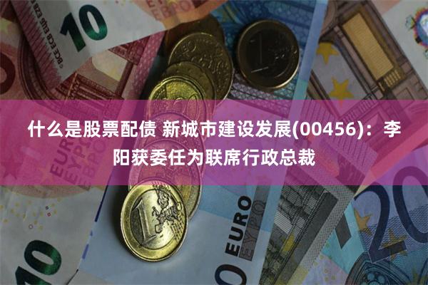 什么是股票配债 新城市建设发展(00456)：李阳获委任为联席行政总裁