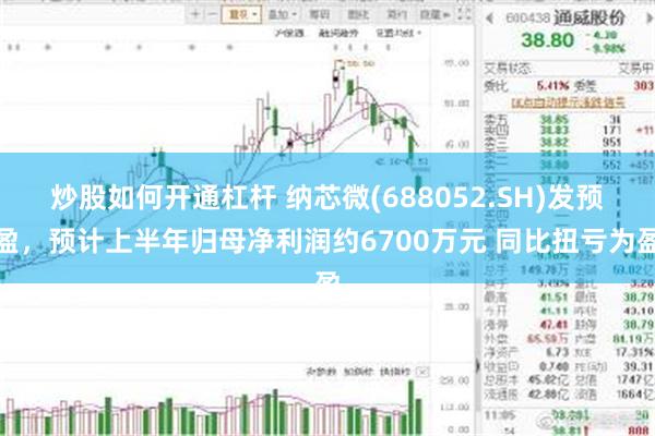 炒股如何开通杠杆 纳芯微(688052.SH)发预盈，预计上半年归母净利润约6700万元 同比扭亏为盈