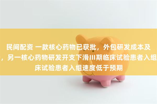 民间配资 一款核心药物已获批，外包研发成本及占比大幅上升，另一核心药物研发开支下滑Ⅲ期临床试验患者入组速度低于预期