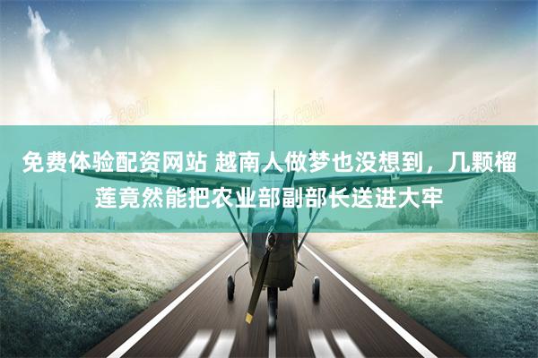免费体验配资网站 越南人做梦也没想到，几颗榴莲竟然能把农业部副部长送进大牢