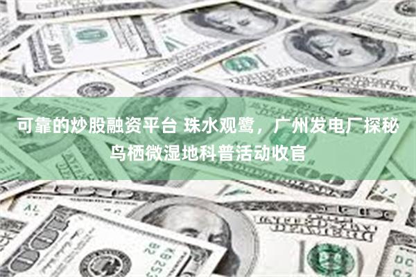 可靠的炒股融资平台 珠水观鹭，广州发电厂探秘鸟栖微湿地科普活动收官
