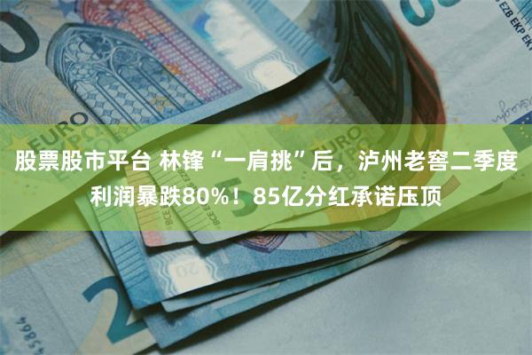股票股市平台 林锋“一肩挑”后，泸州老窖二季度利润暴跌80%！85亿分红承诺压顶