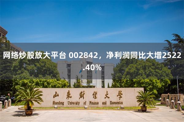 网络炒股放大平台 002842，净利润同比大增2522.40%