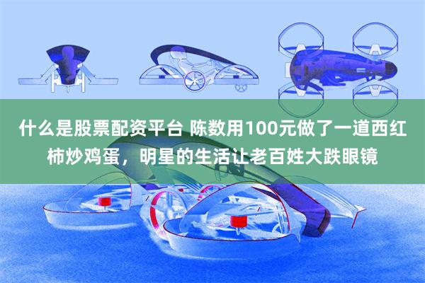 什么是股票配资平台 陈数用100元做了一道西红柿炒鸡蛋，明星的生活让老百姓大跌眼镜
