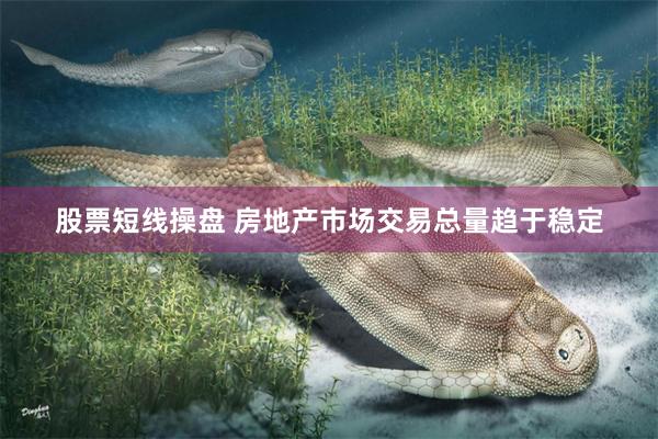 股票短线操盘 房地产市场交易总量趋于稳定