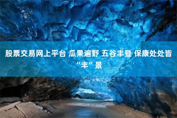 股票交易网上平台 瓜果遍野 五谷丰登 保康处处皆“丰”景