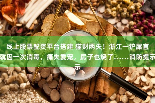 线上股票配资平台搭建 猫财两失！浙江一铲屎官就因一次消毒，痛失爱宠，房子也烧了……消防提示