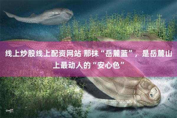 线上炒股线上配资网站 那抹“岳麓蓝”,是岳麓山上最动人的“安心色”