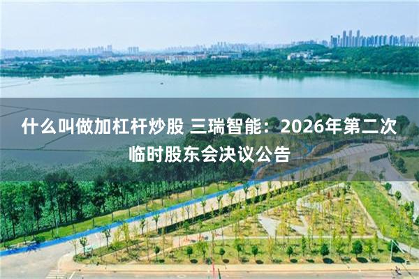 什么叫做加杠杆炒股 三瑞智能：2026年第二次临时股东会决议公告