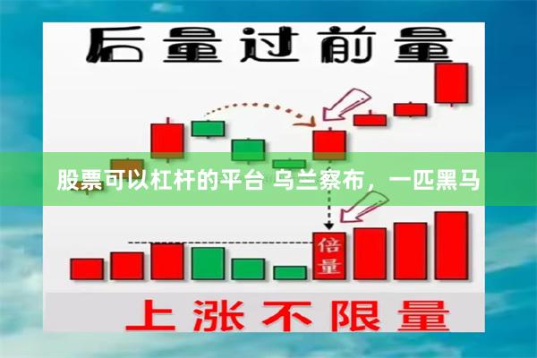 股票可以杠杆的平台 乌兰察布，一匹黑马